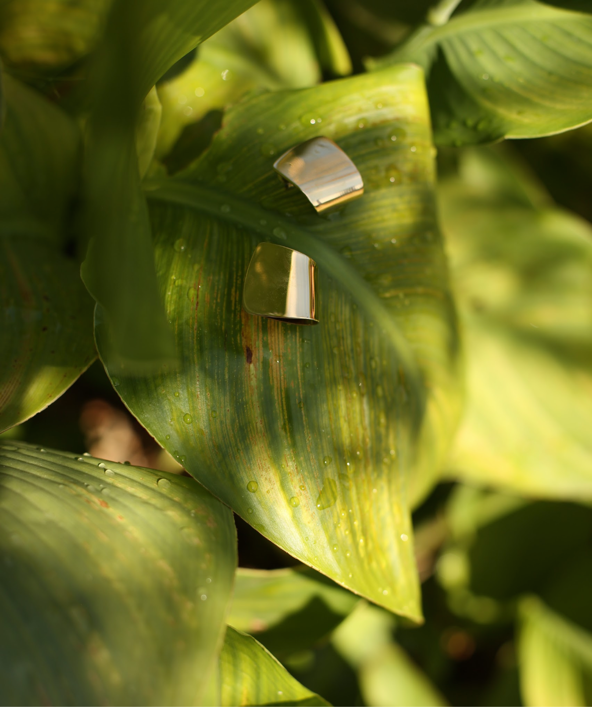 Boucles d’oreilles Solstice